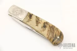 Engraved Sheep Horn Slipjoint 7 Engraved Sheep Horn Slipjoint -Knife Shop 1650577520 5291
