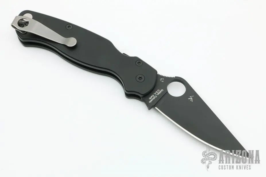 Customized Paramilitary 2 4 Customized Paramilitary 2 - Image 2