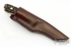 Stag Drop Point Hunter -Knife Shop 1676562934 9118