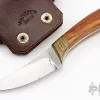 Raised Point Skinner -Knife Shop 1678734621 8831