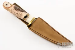 Carved Stag Hunter -Knife Shop 19190507 16120