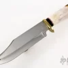 Carved Stag Bowie 1 Carved Stag Bowie -Knife Shop 19190510 16758 1