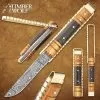 Timber Wolf Brass Barrister Pocket Knife - Damascus Steel Blade, Wooden Handle, Brass Pins And Liners - Closed 4 1/2” -Knife Shop A19 TW1195
