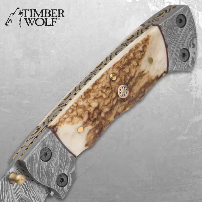 Timber Wolf Damascus And Stag Horn Pocket Knife - Damascus Steel Blade, Stag Horn Handle, File Worked Brass Liners - Closed 4 1/2” 5 Timber Wolf Damascus And Stag Horn Pocket Knife - Damascus Steel Blade, Stag Horn Handle, File Worked Brass Liners - Closed 4 1/2” - Image 3