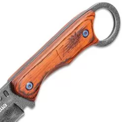 Shinwa Bloodwood Cleaver Knife With Sheath - 3Cr13 Stainless Steel Blade, Full-Tang, Pakkawood Handle Scales - Length 9” -Knife Shop E17 KZ1046